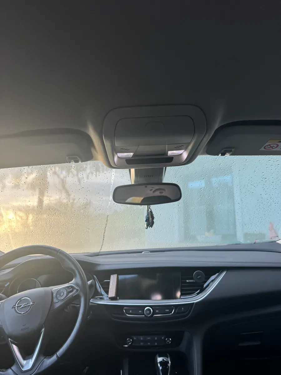 Opel Insignia 2020 photo 3