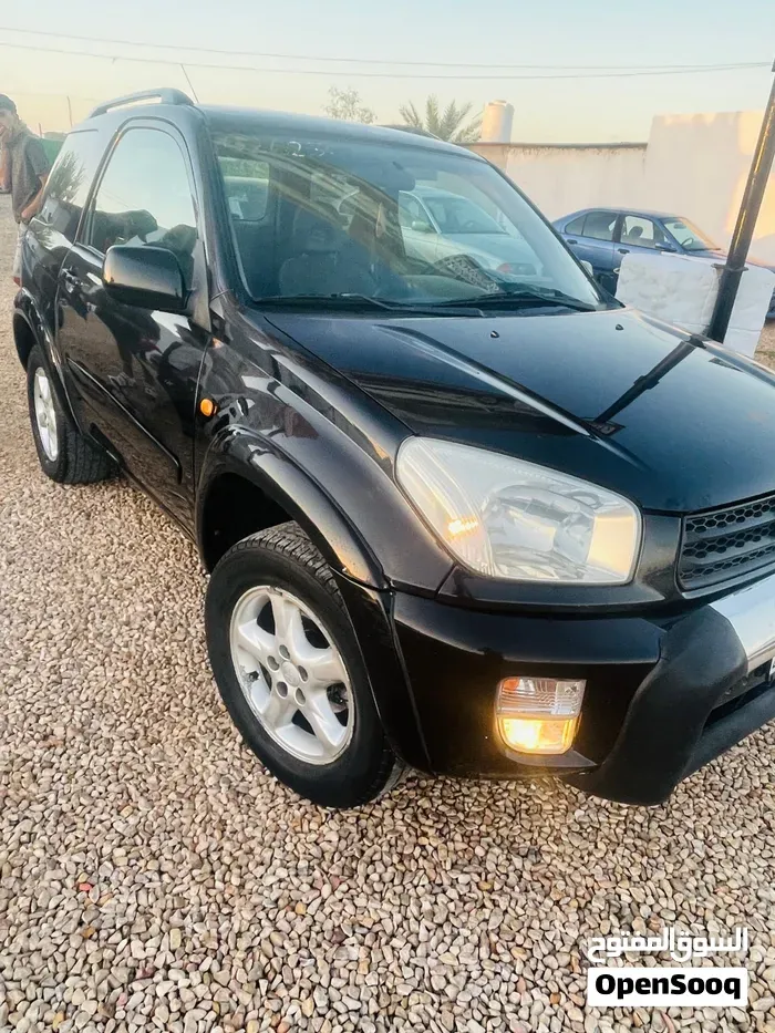 Toyota Rav 4 2003 photo 2