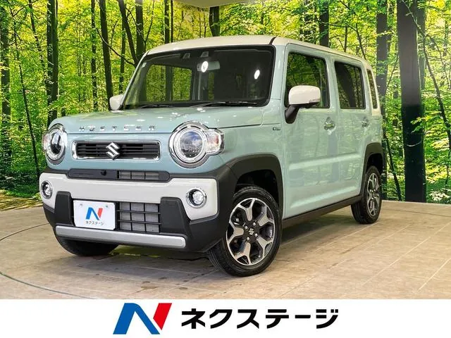 Suzuki Hailler Hybrid X