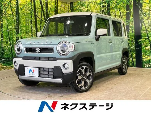 Suzuki Hailler Hybrid X