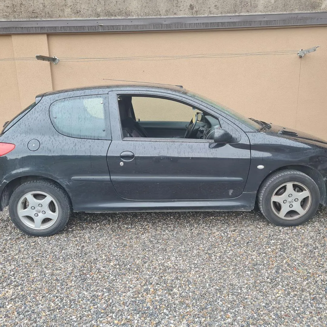 Peugeot 206 2004 photo 2