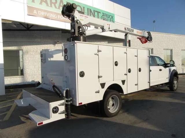 Ford F-550 2021 photo 5