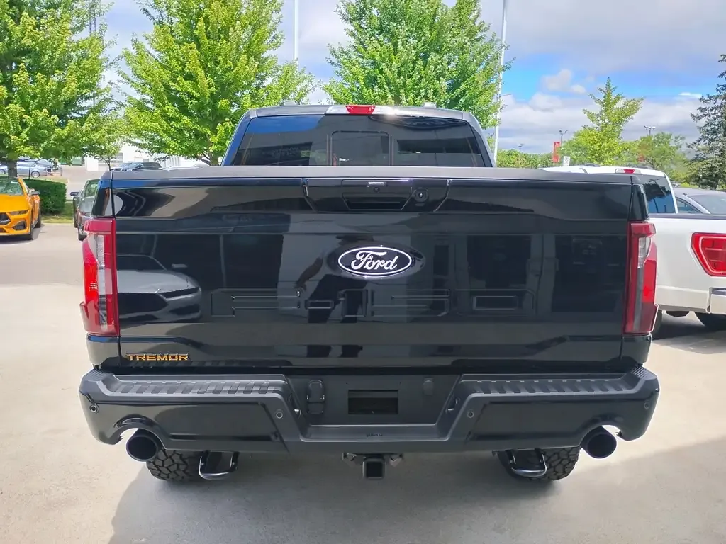 Ford F-150 2026 photo 4