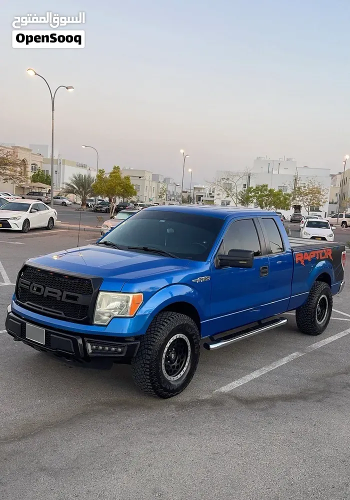 Ford F-150 2014 photo 3
