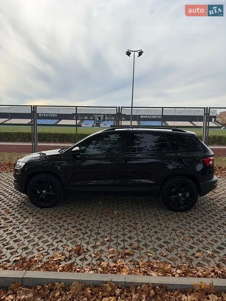 Skoda Karoq 2020 photo 4