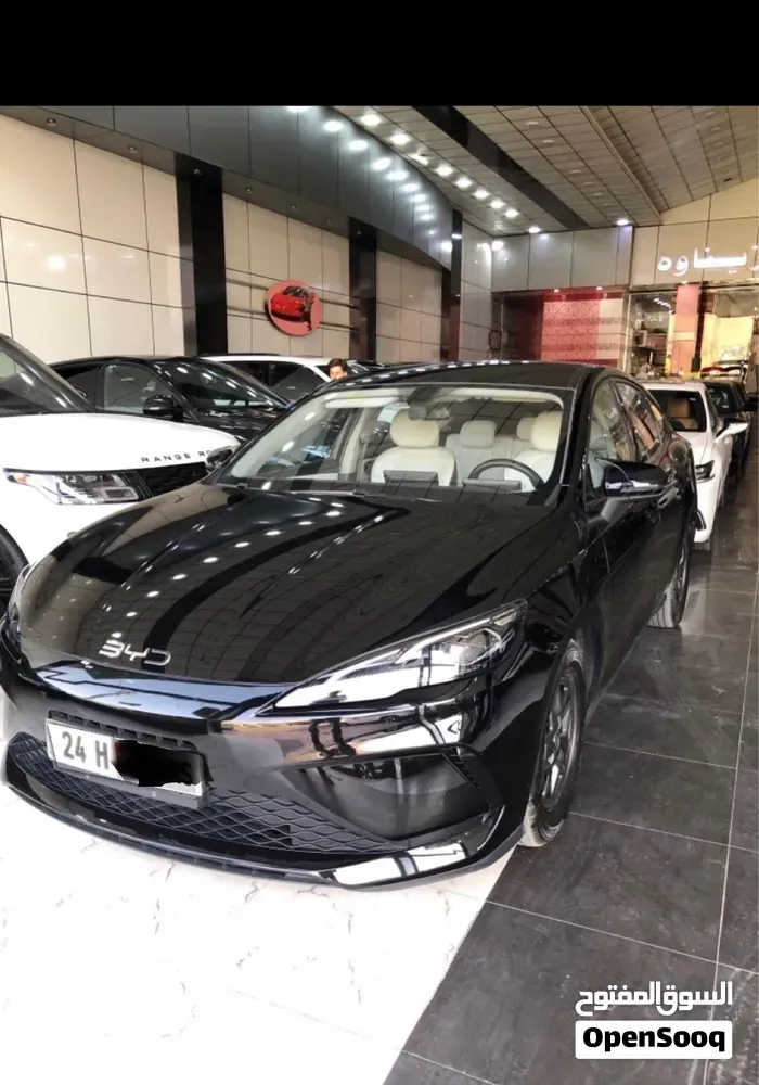 BYD E2