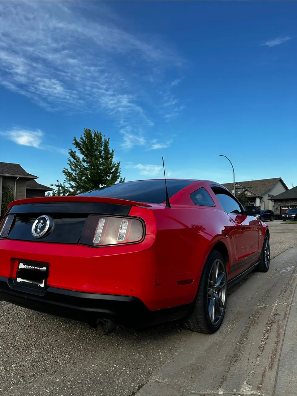Ford Mustang 2011 photo 3