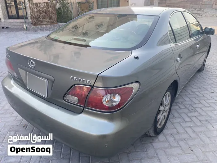 Lexus Es 300 2004 photo 2