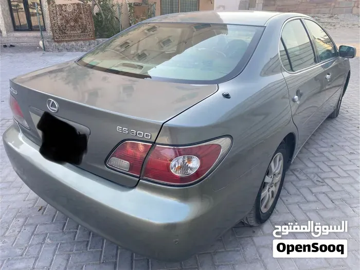 Lexus Es 300 2004 photo 3