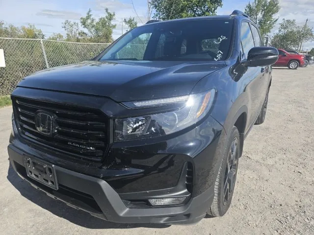 Honda Passport