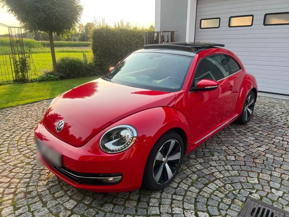 Volkswagen Beetle
