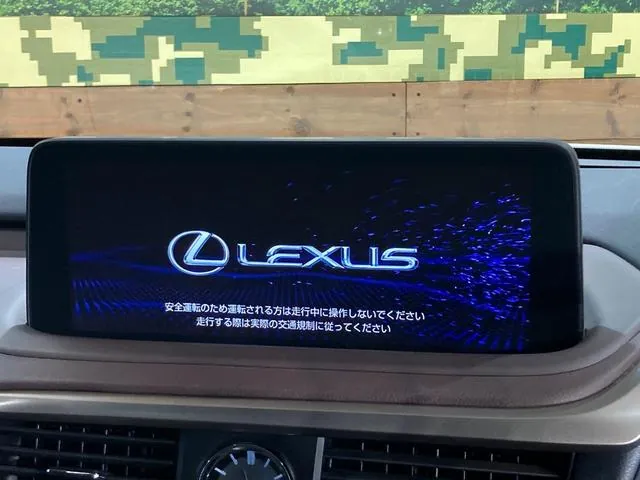 Lexus Rx450H 2021 photo 5