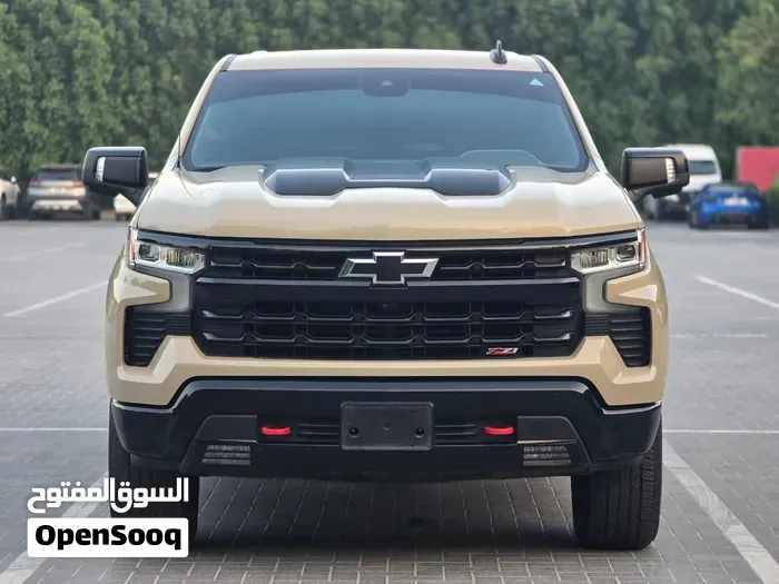 Chevrolet Silverado 2023 photo 2