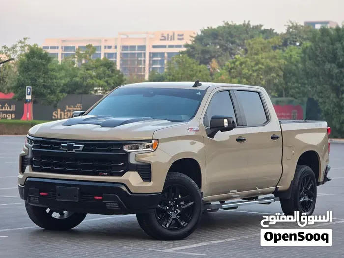 Chevrolet Silverado 2023 photo 3