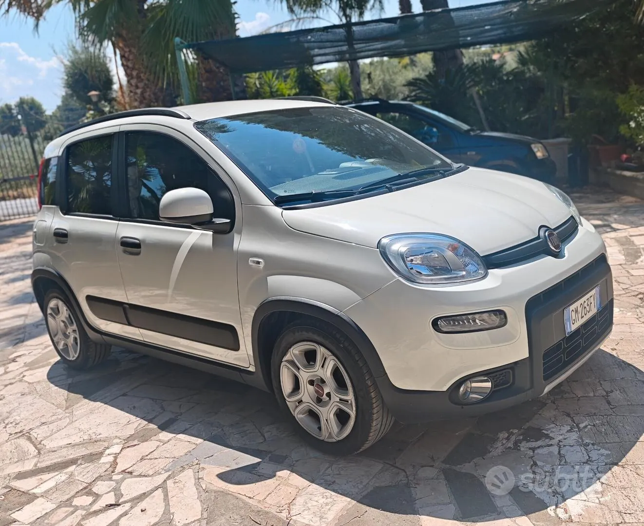 Fiat Panda 2023 photo 2