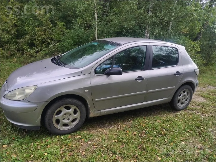 Peugeot 307 2004 photo 2