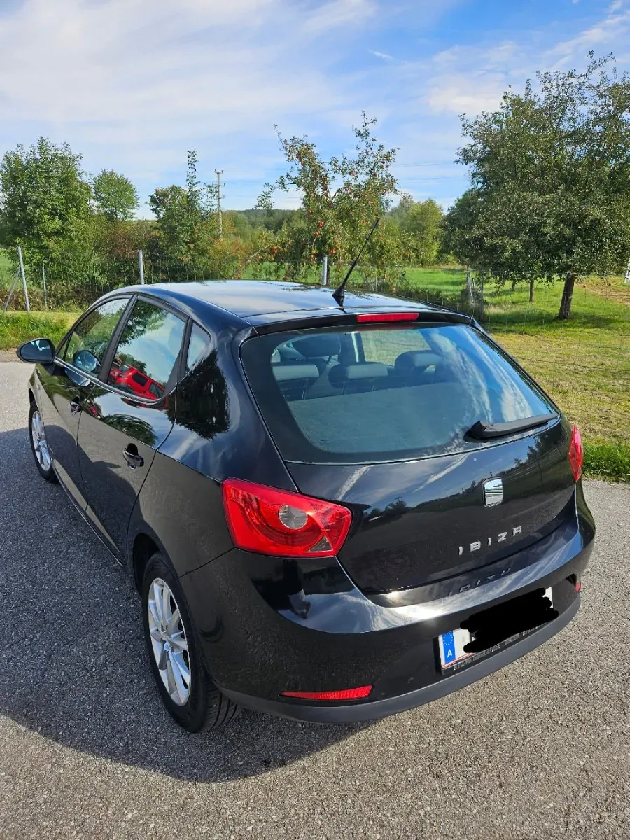 Seat Ibiza 2012 photo 2
