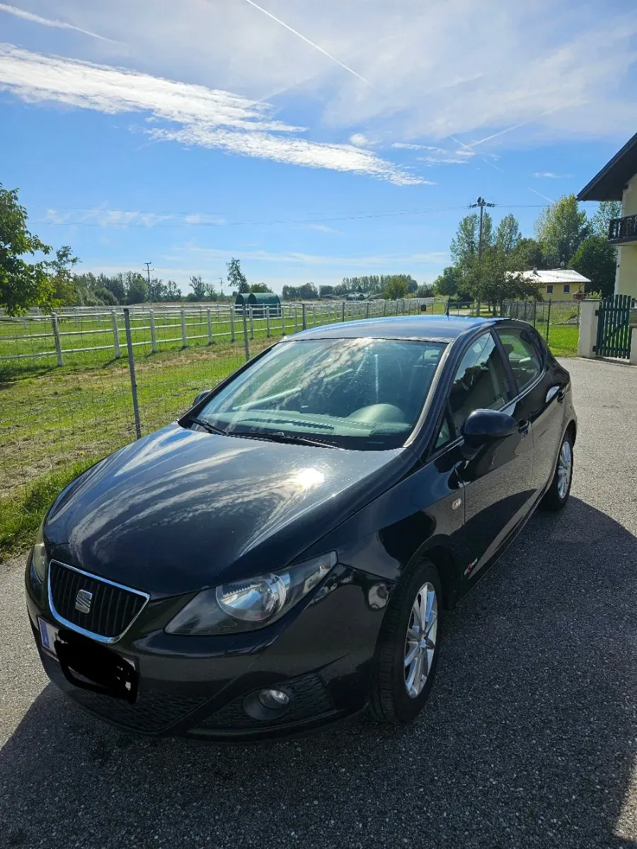 Seat Ibiza 2012 photo 3