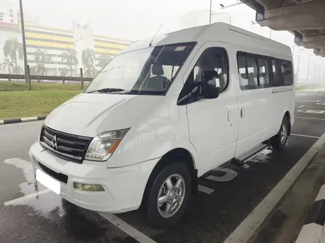 Maxus V80