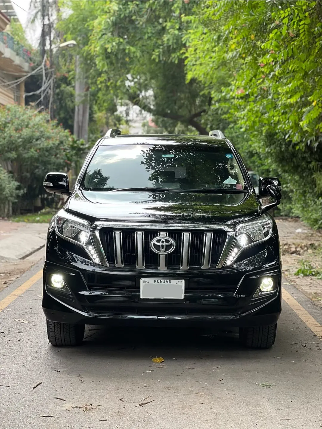 Toyota Prado