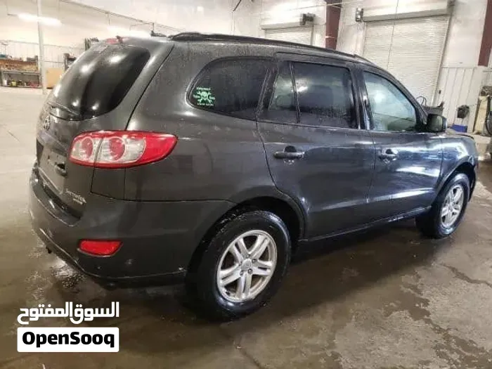 Hyundai Santa Fe 2010 photo 4