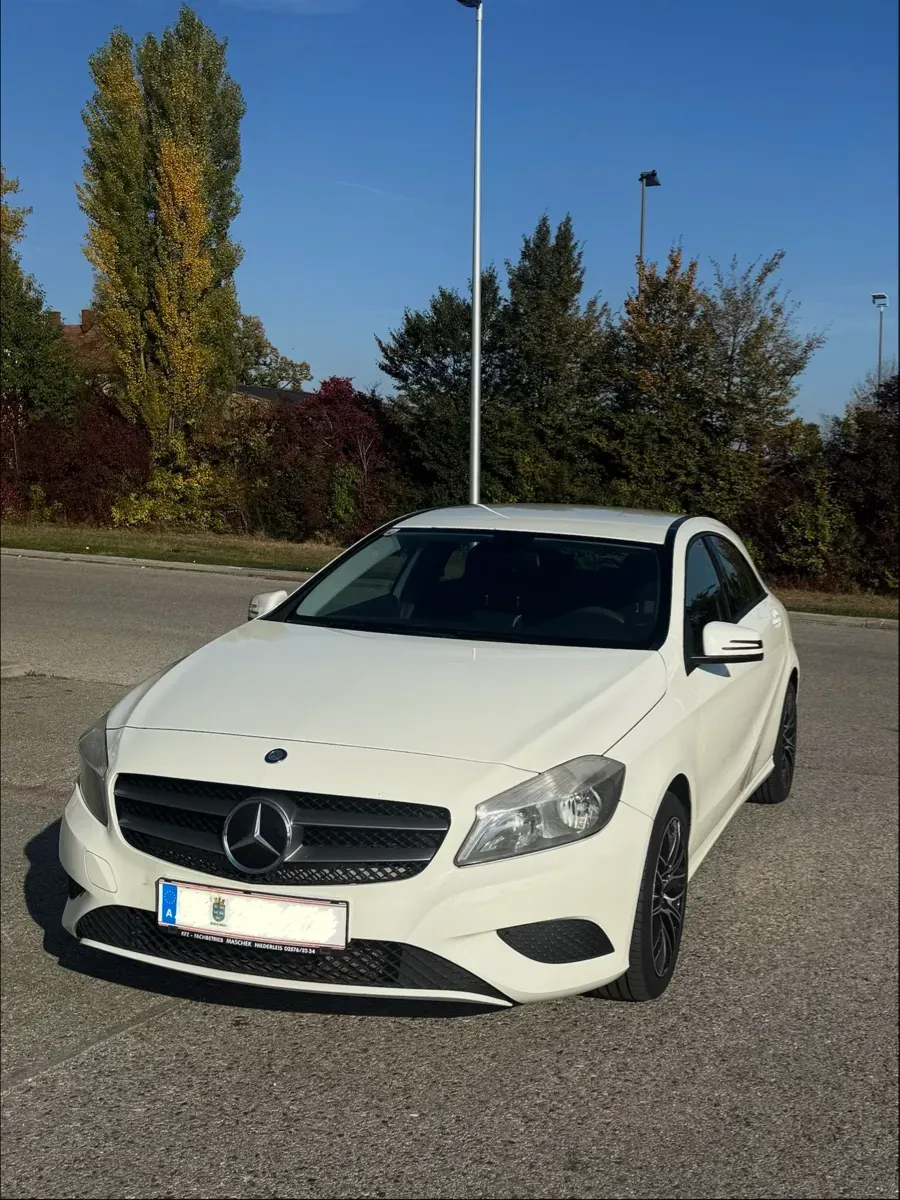 Mercedes-Benz A-Class 2013 photo 2