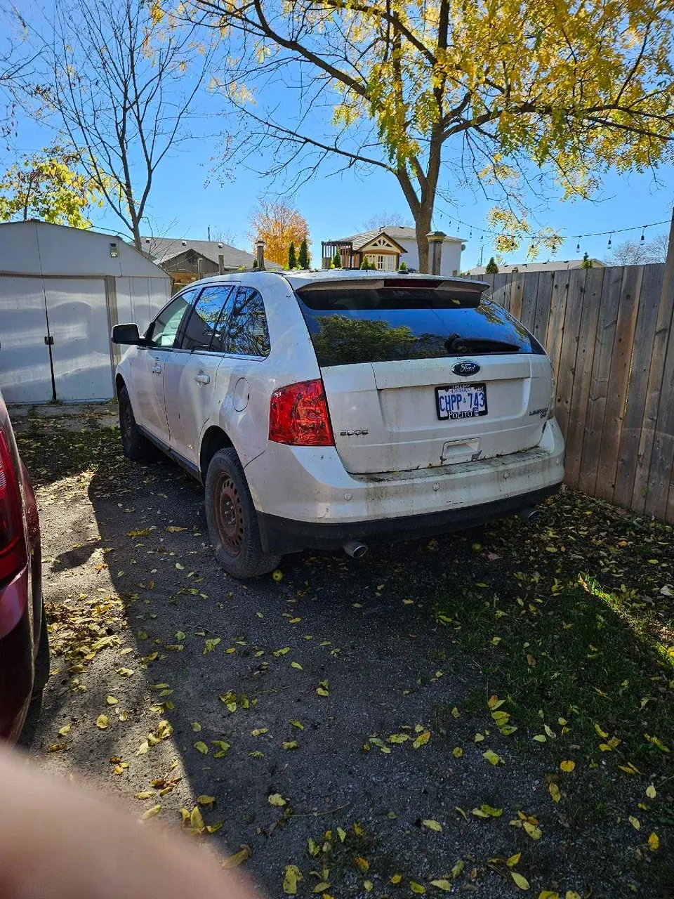 Ford Edge 2008 photo 2