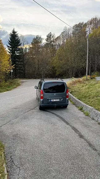 Peugeot Partner Tepee 2009 photo 5