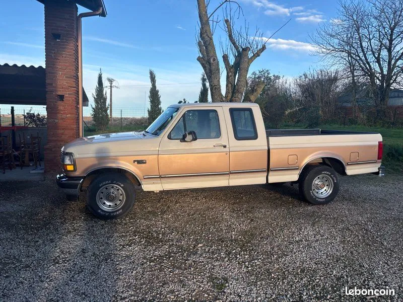 Ford F150 1994 photo 3