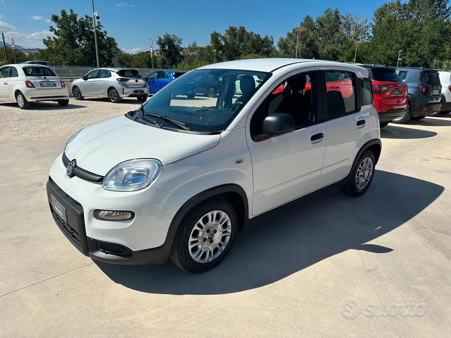 Fiat Panda 2024 photo 2