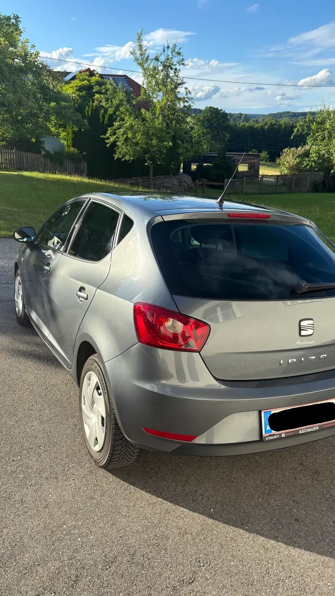 Seat Ibiza 2013 photo 2