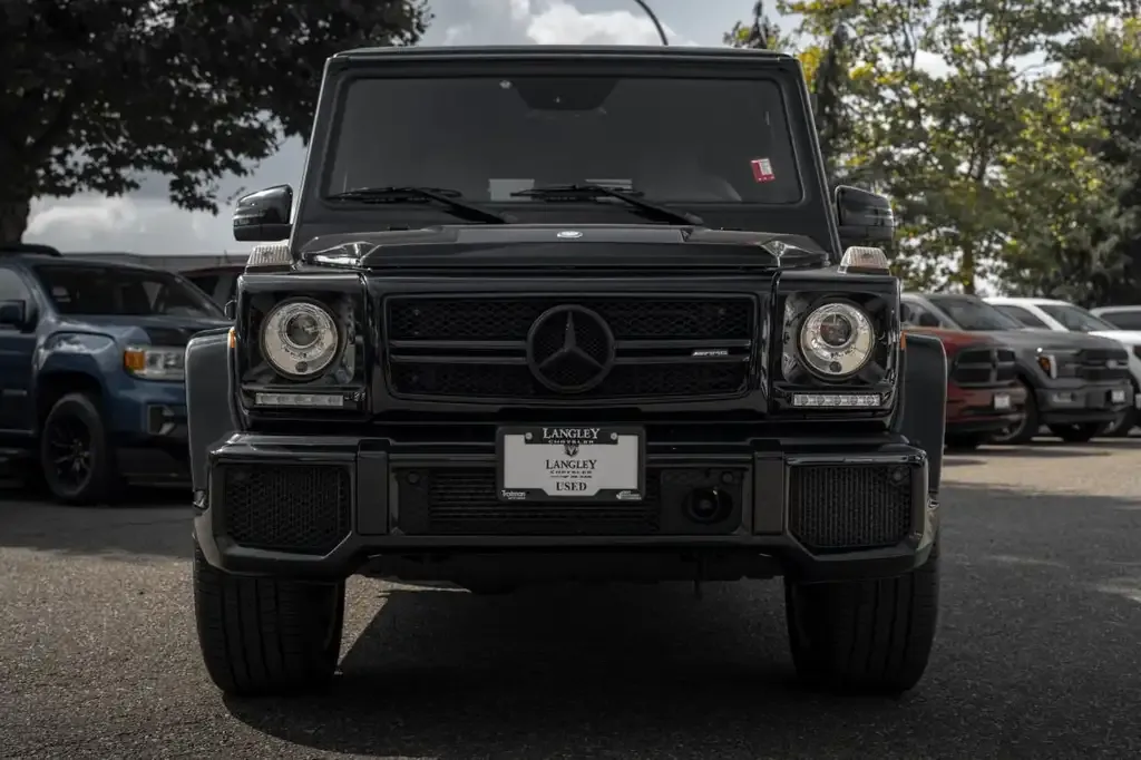 Mercedes-Benz G-Class 2017 photo 3