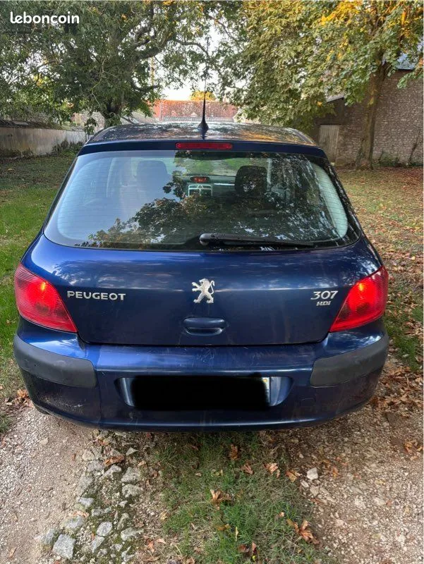 Peugeot 307 2005 photo 2