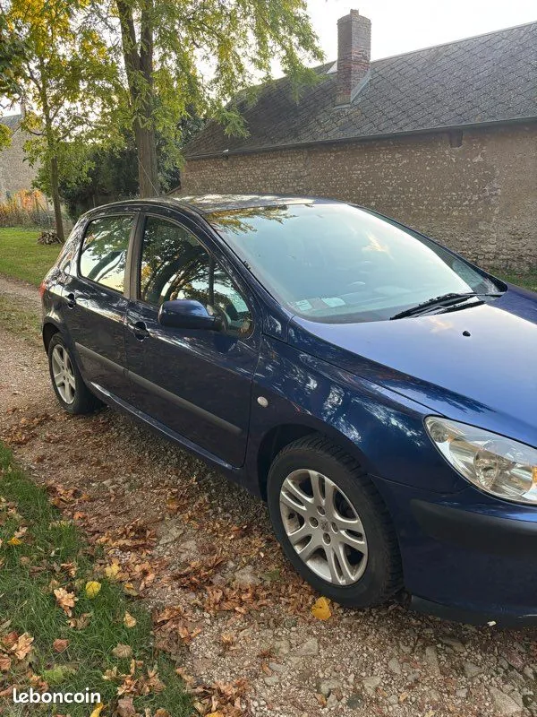 Peugeot 307 2005 photo 3