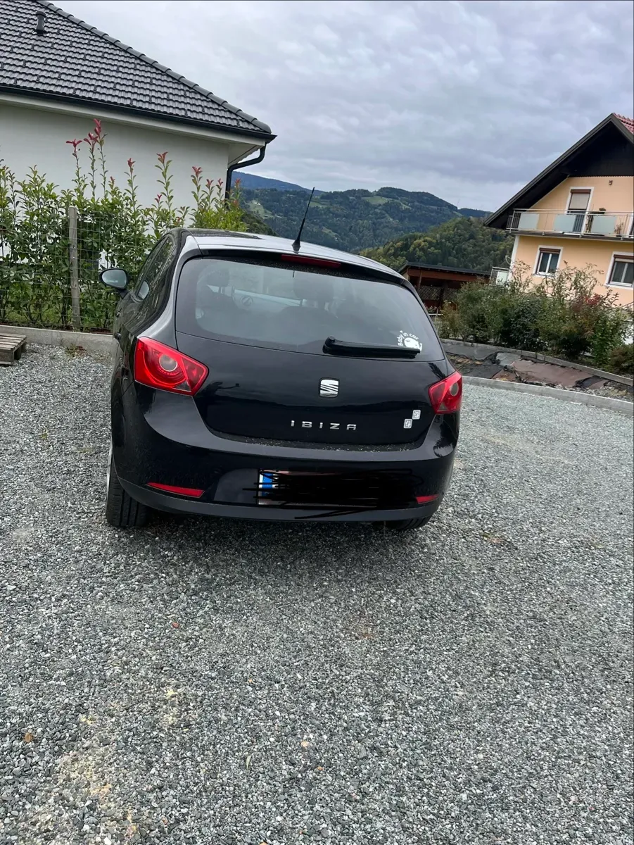 Seat Ibiza 2009 photo 3