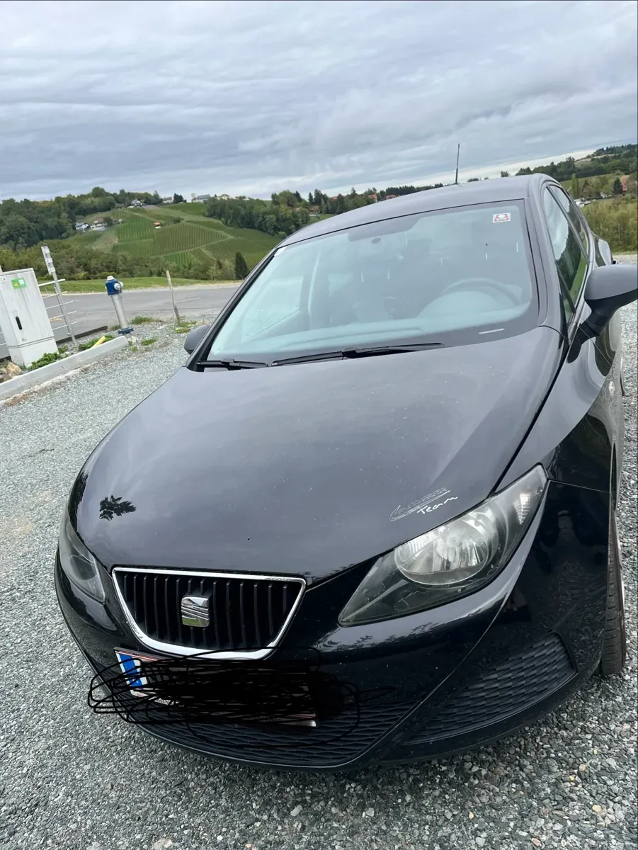 Seat Ibiza 2009 photo 2