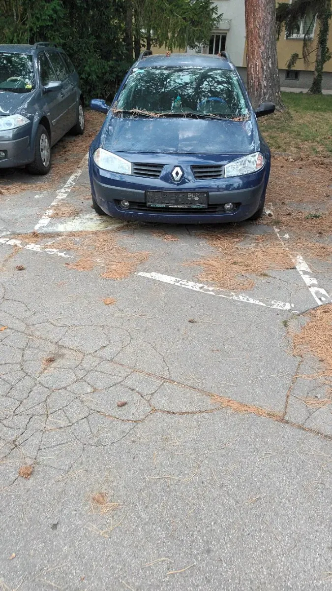 Renault Megane 2004 photo 2
