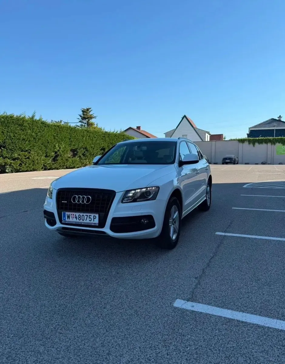 Audi Q5 2010 photo 2