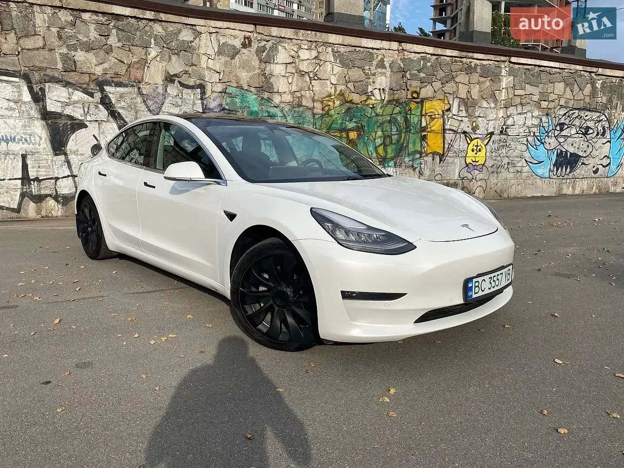Tesla Model 3 2019 photo 3