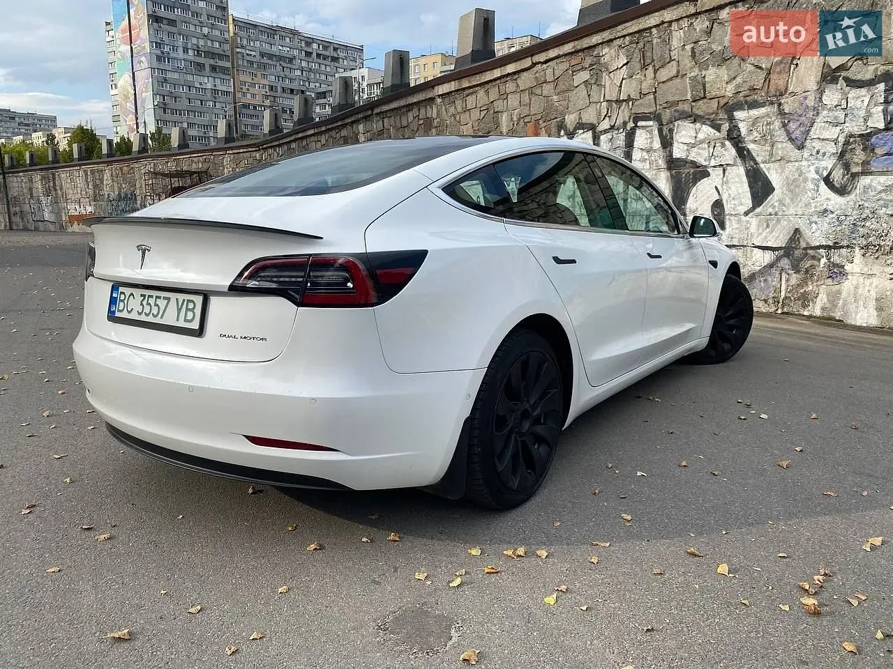 Tesla Model 3 2019 photo 5