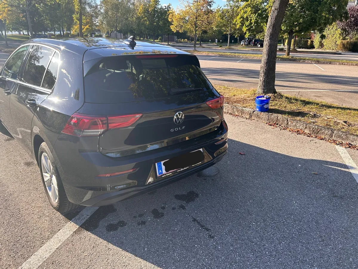 Volkswagen Golf 2020 photo 3