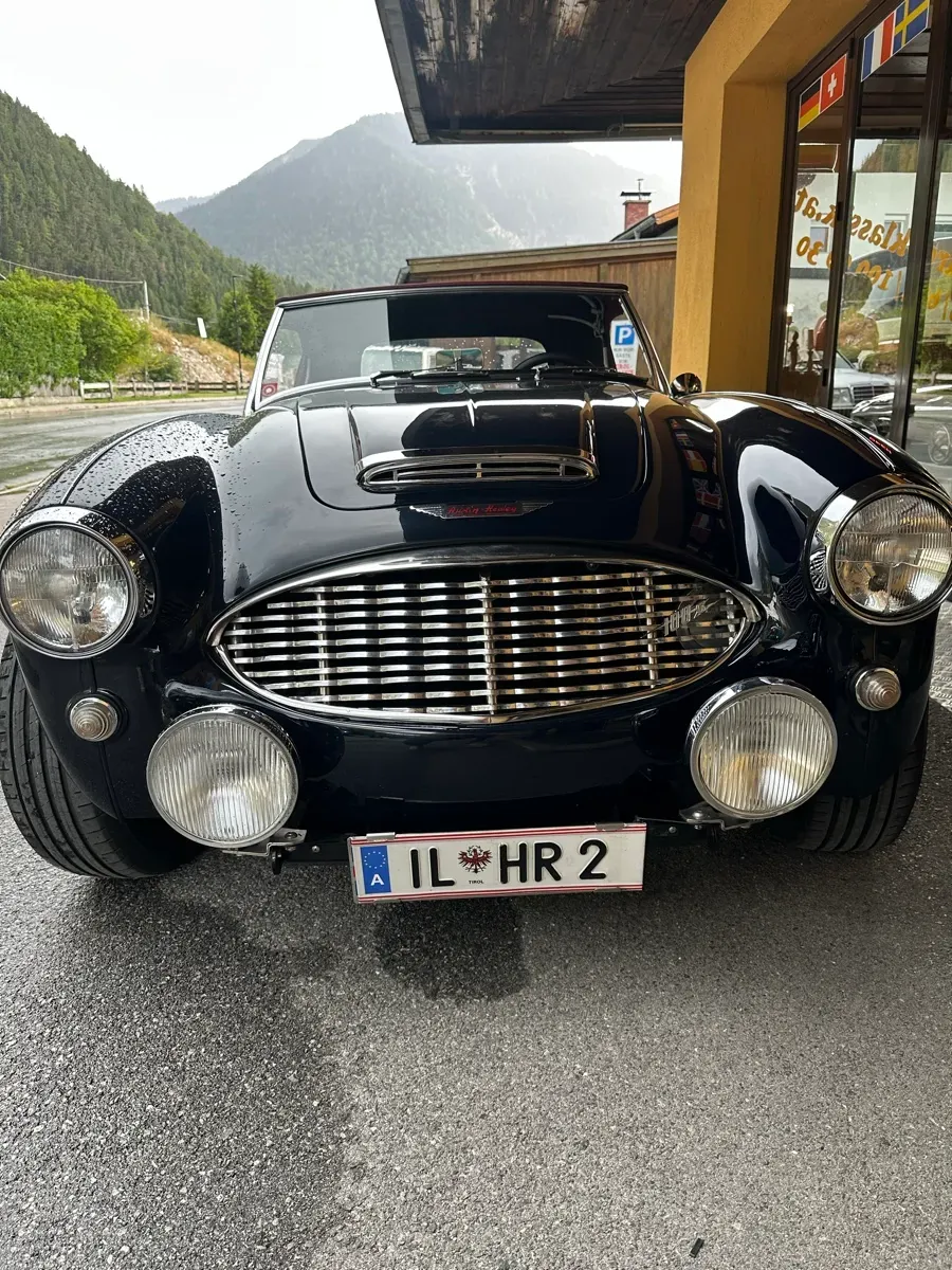 Austin Healey 1958 photo 3