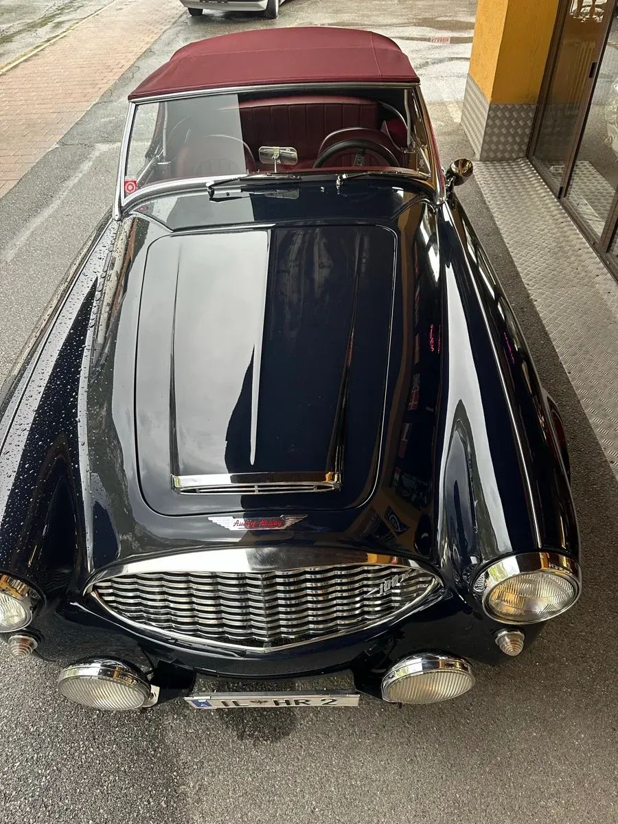 Austin Healey 1958 photo 2