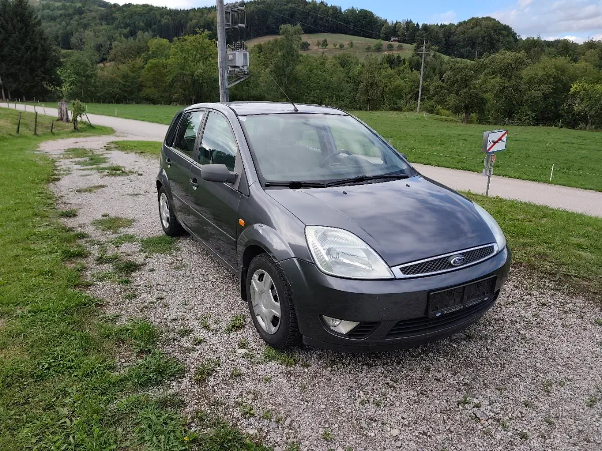 Ford Fiesta 2003 photo 2