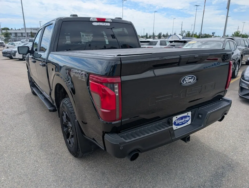 Ford F-150 2025 photo 5