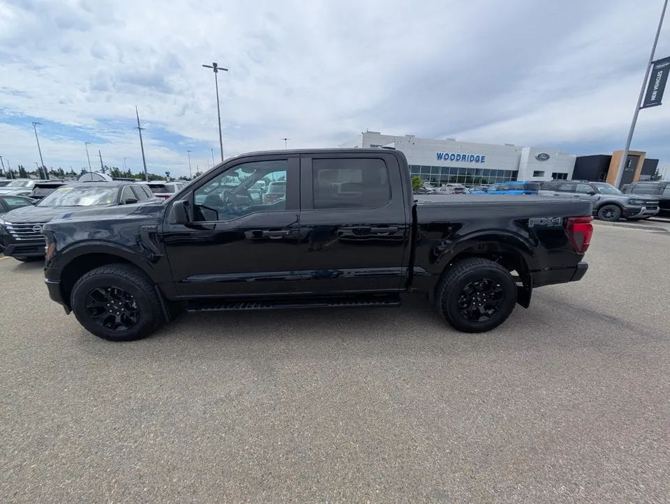 Ford F-150 2025 photo 4