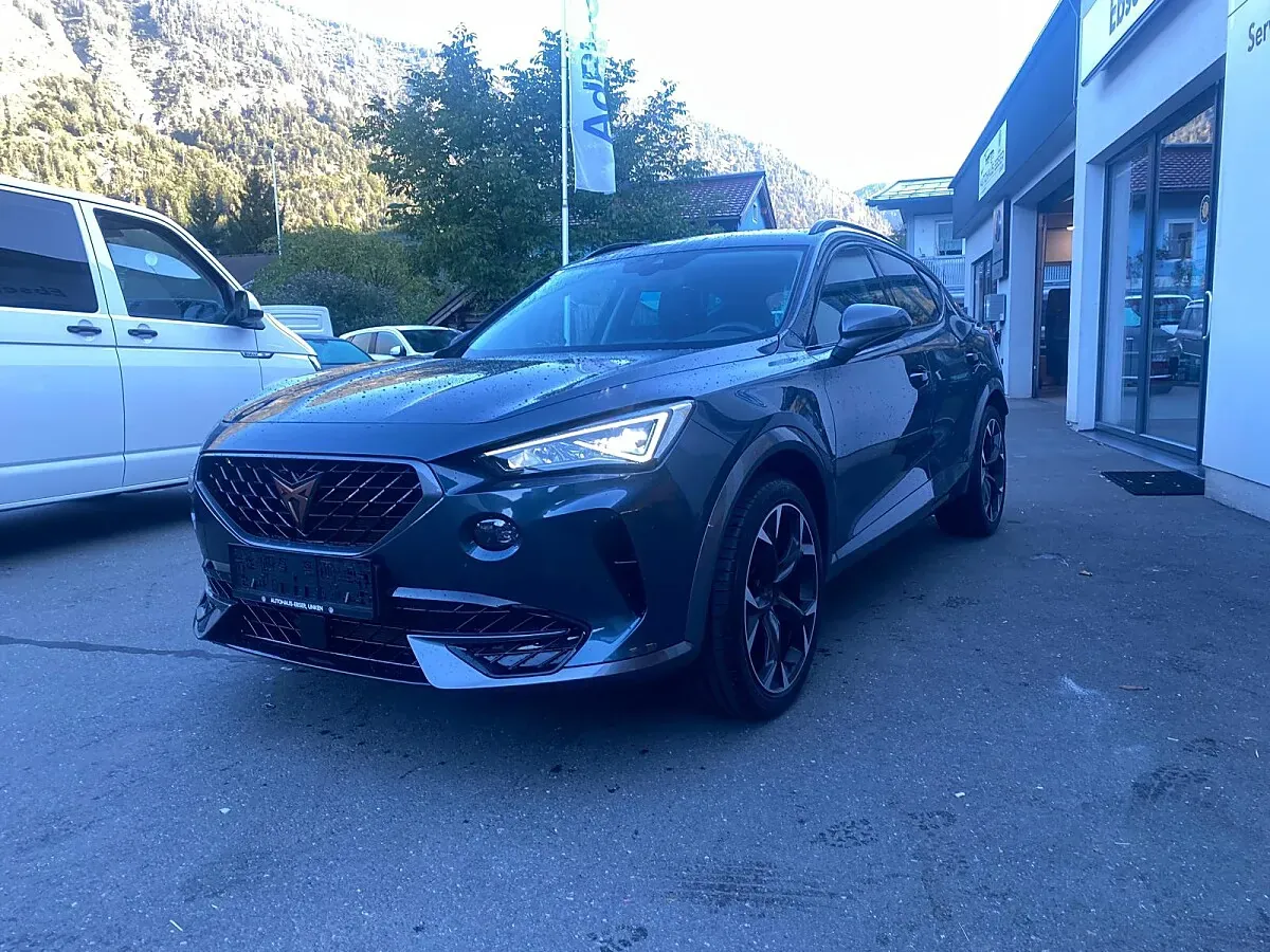 Cupra Formentor 2022 photo 3