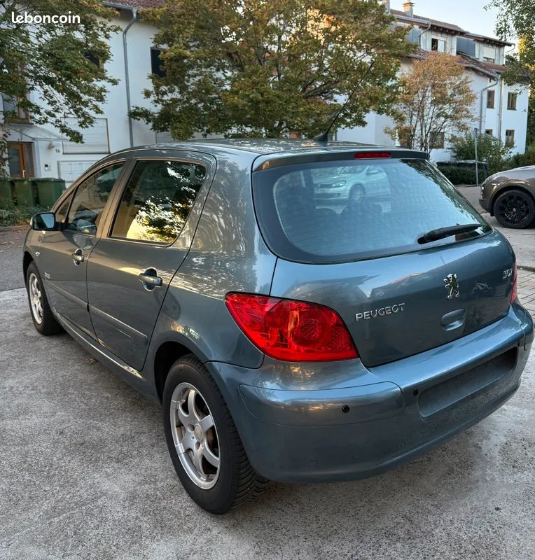 Peugeot 307 2007 photo 2