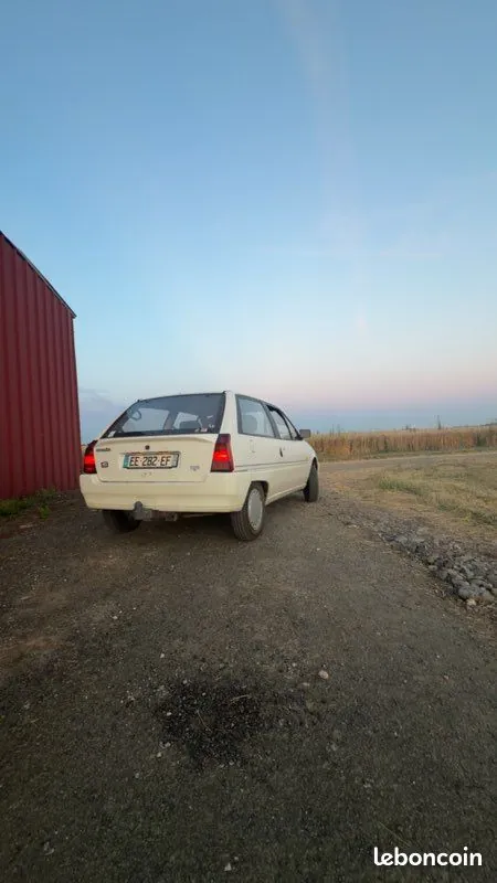 Citroen Ax 1992 photo 3