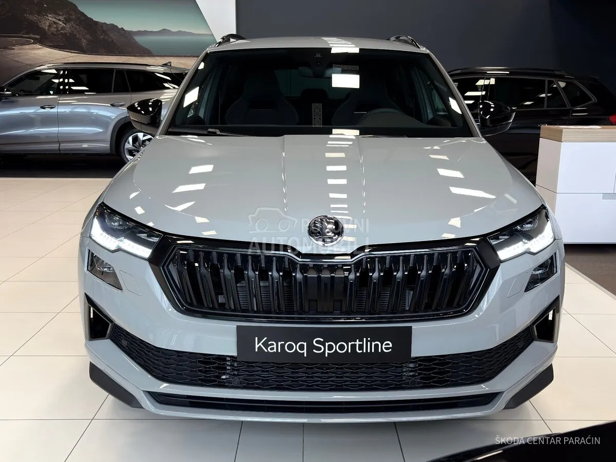 Skoda Karoq 2026 photo 3